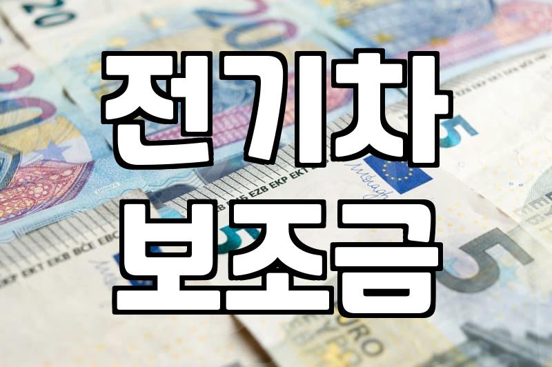 보조금 지급 조건과 금액 산정 기준의 현실적인 차이