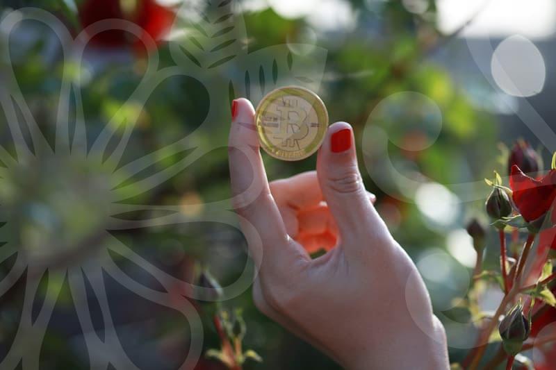 창업도약패키지의 핵심 혜택과 신청 요건 알아보기