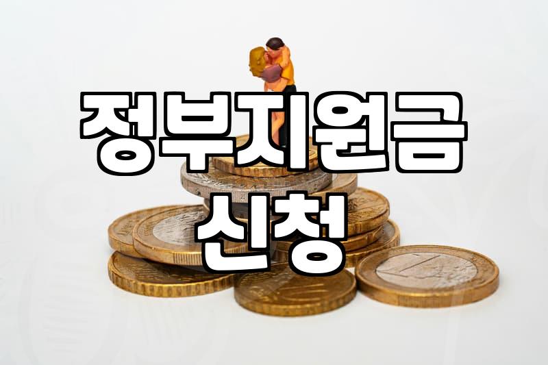 보조금 신청할 때 반드시 확인해야 할 자격 요건