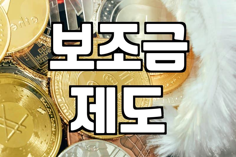 정부 보조금 신청 전 확인해야 할 현실적인 몇 가지