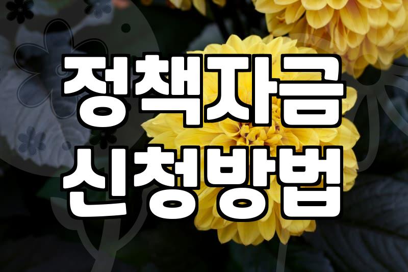 정부지원사업 신청 전 꼭 확인해야 할 현실적인 조건들