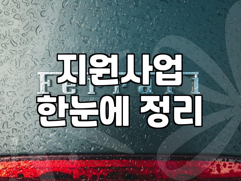 경기도 청년 창업 지원, 서류상의 희망과 현실의 간극에 대하여