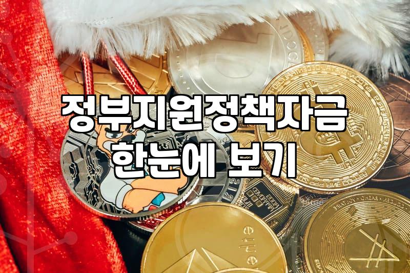 청년창업지원센터 입주 및 정부 지원금 신청 실무 조건