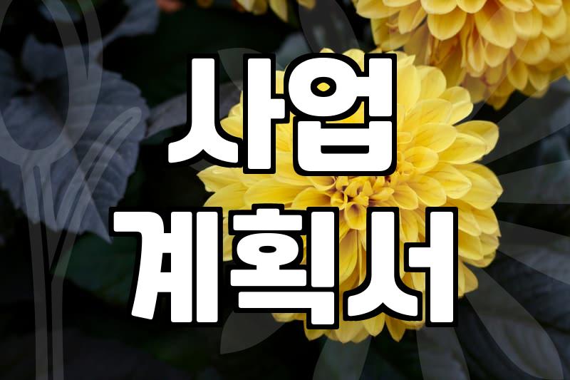 청년창업지원센터, 진짜 나에게 맞는 곳일까?