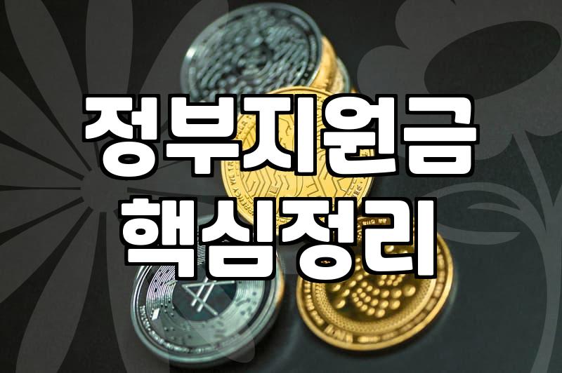 정부 보조금 신청부터 수령까지 실제로 거치는 단계별 절차
