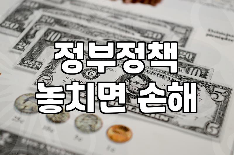 정부정책, 정말 믿고 따라가도 괜찮을까?: 현실적인 고민과 실무적 접근