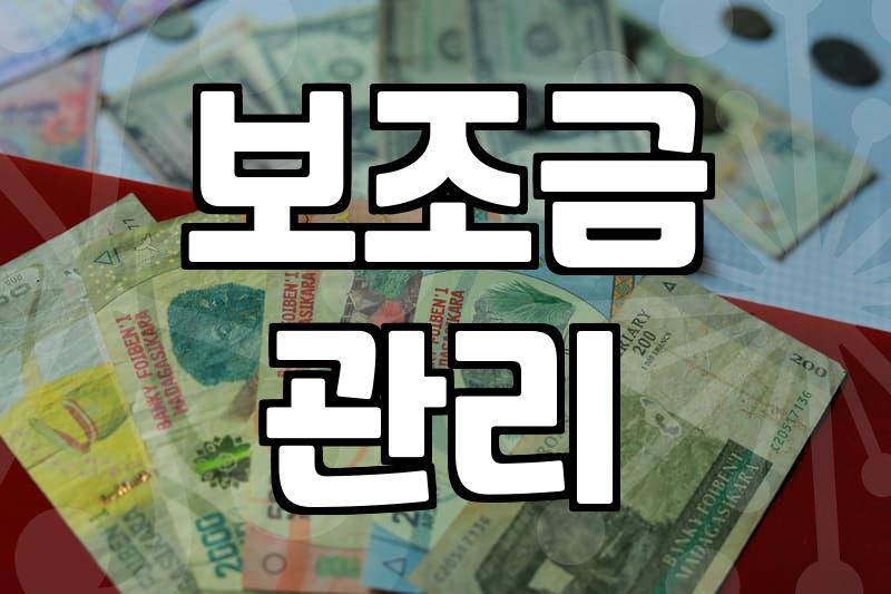 지방보조금 관리 조례와 현실적인 신청 시 주의점