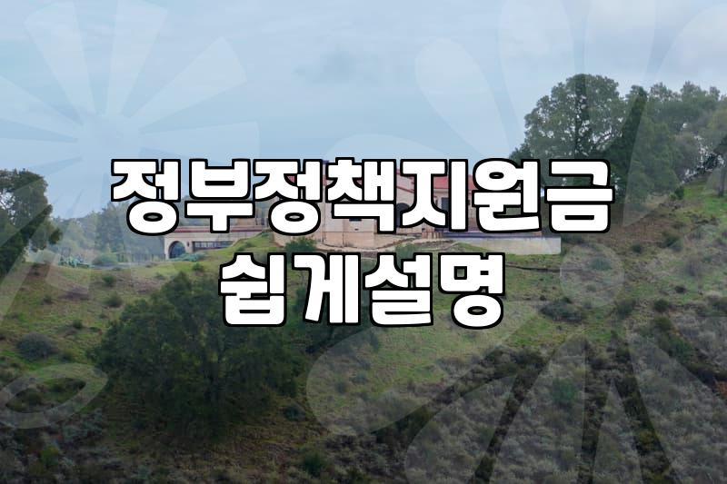 정부지원금 신청 전 확인해야 할 현실적인 준비 사항들