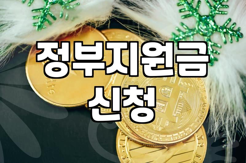 보조금 지급 요건과 예산 소진 확인하는 법
