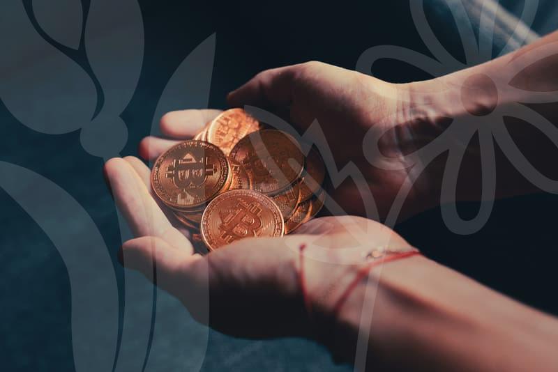 복지혜택의 실질 활용과 혜택 유형 분석