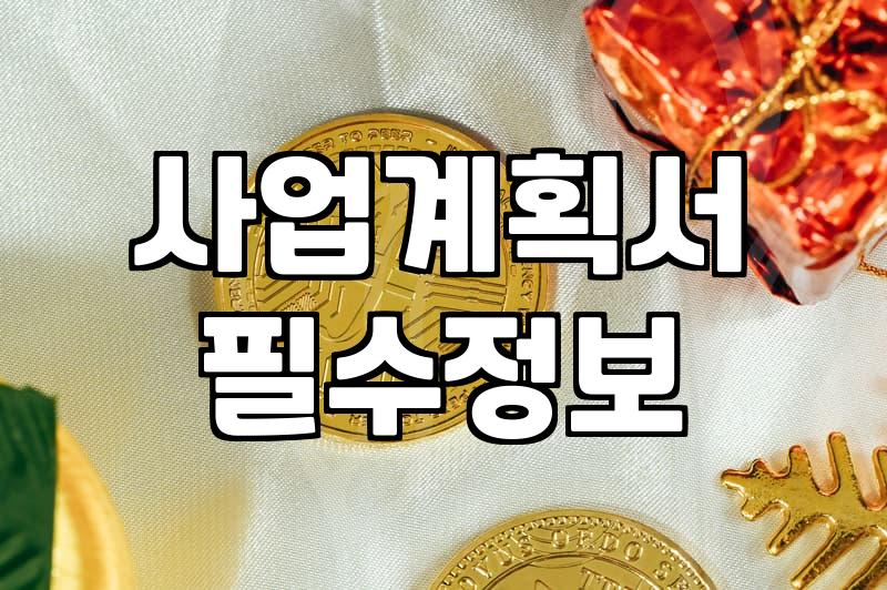 실패하지 않는 정부지원금 사업계획서 작성법과 현실적인 전략
