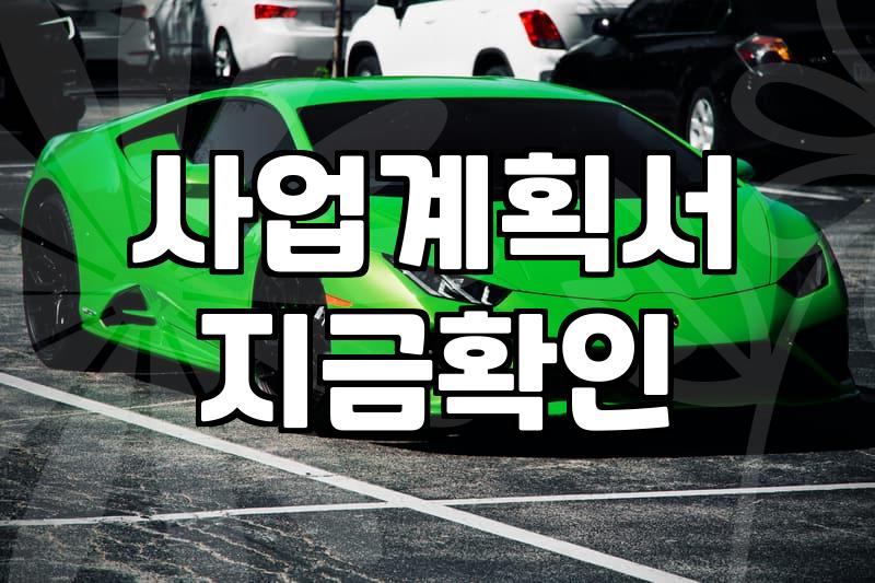 실패하지 않는 정부정책 자금 신청을 위한 현실적인 검토 기준