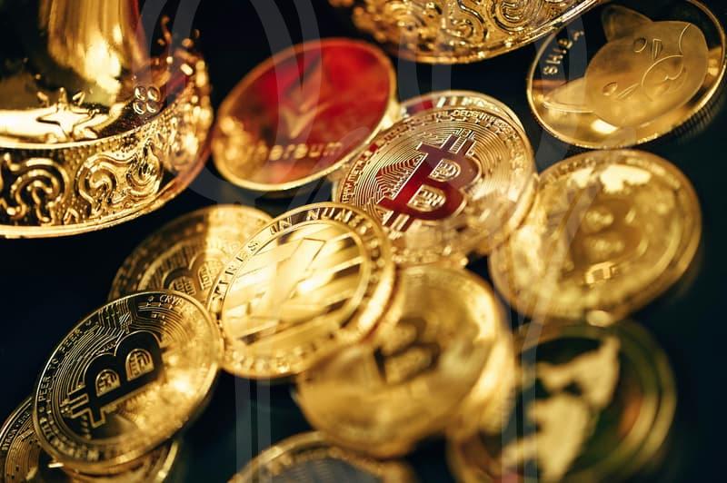 저신용소상공인자금 신청 요건과 활용 전략과 절차