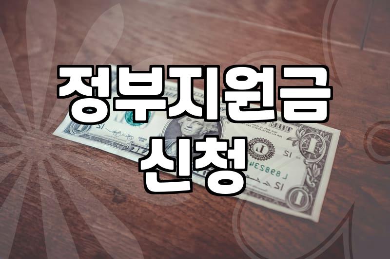 보조금, 꼼꼼히 따져보고 신청해도 결국 ‘케바케’인 이유
