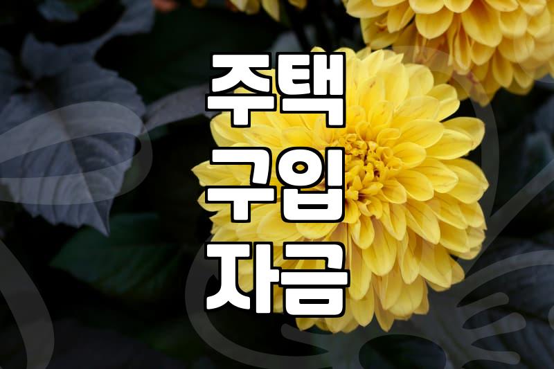 내 집 마련, 정부 주거지원 꼼꼼히 알아보기