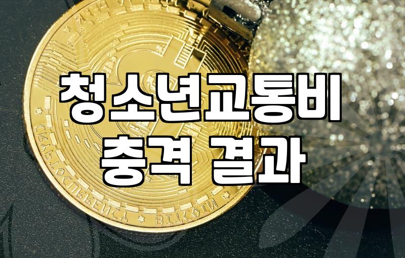 청소년 교통비 지원, 파프렌즈를 직접 써보며 느낀 현실적인 고민들