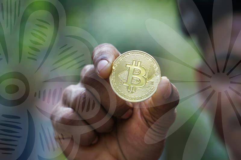 소상공인지원과 정책자금 활용 현황과 사례 분석