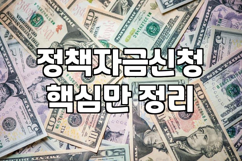 놓치기 쉬운 정부지원금과 정책자금 활용할 때 기억할 것