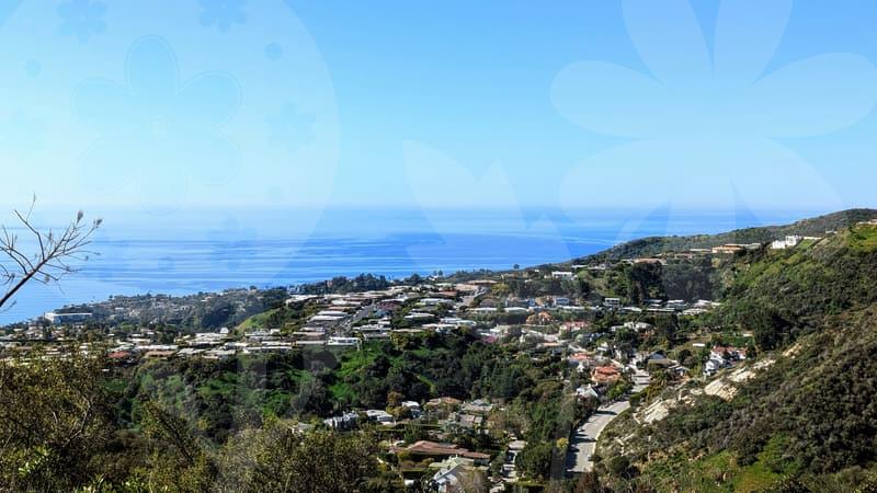 정부출연금의 흐름과 지원조건을 자세히 이해하기