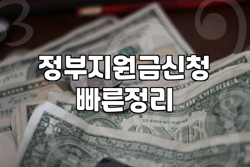 정부 지원금, ‘컨설팅’ 없이도 받을 수 있을까? 직접 겪어본 후기