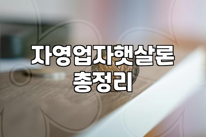 저금리 개인사업자 대출, 현실에서 마주하는 딜레마와 타협점