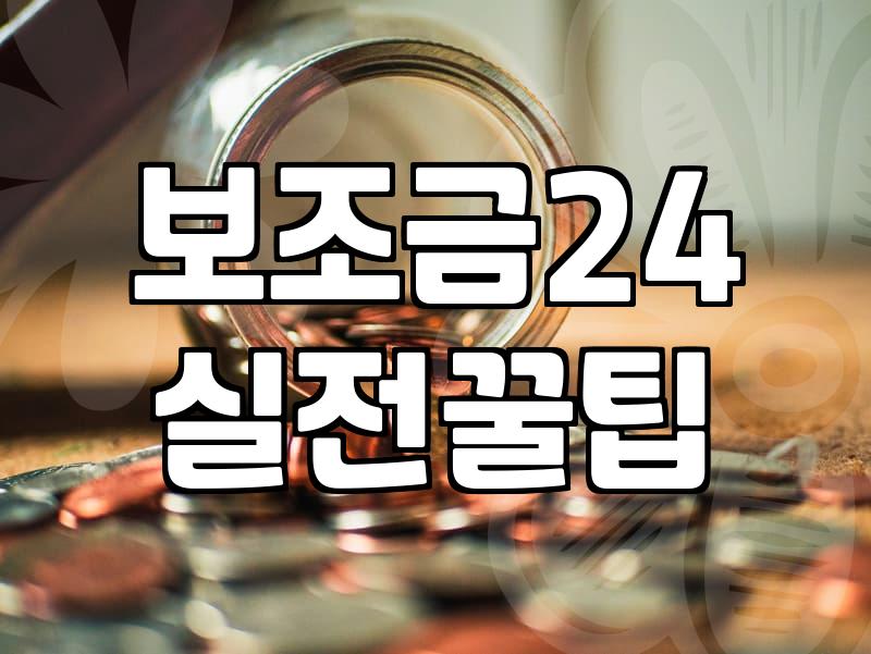 보조금24 조회하다가 그냥 창 닫아버린 날
