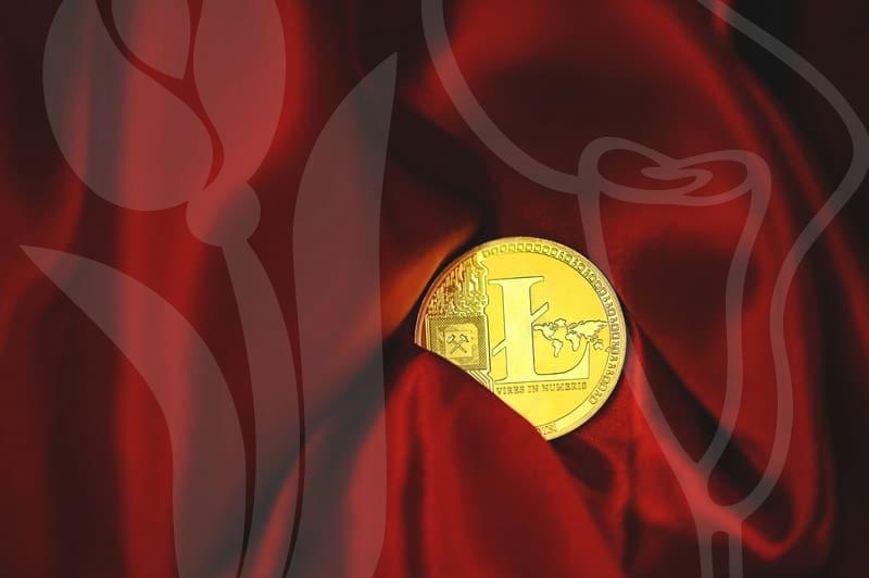 복지혜택의 숨은 구조와 현장에서 바로 활용하는 방법