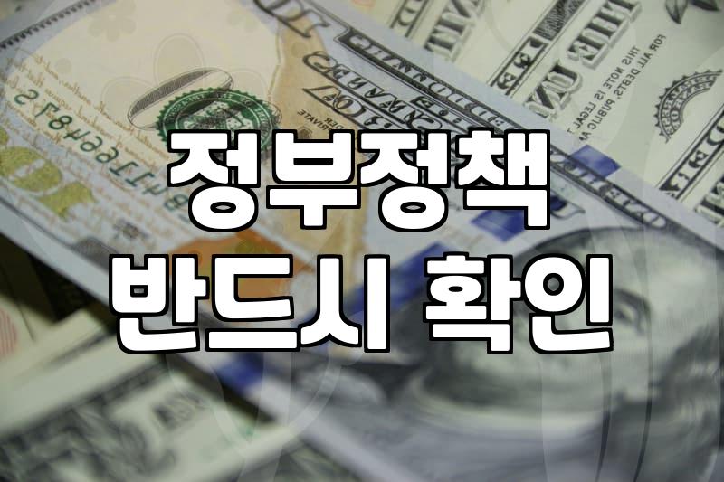 복잡한 정부정책, 나에게 맞는 핵심 정보는 어떻게 찾을까?