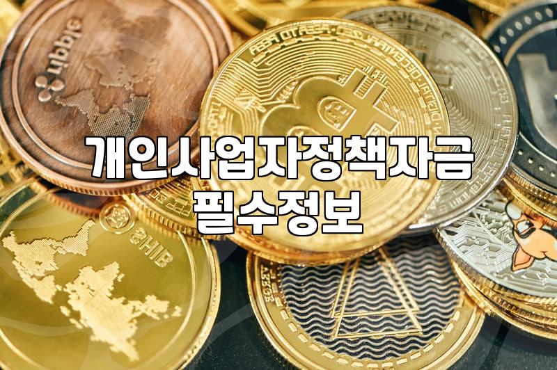 국가정책자금 신청 전 반드시 확인해야 할 자격 요건과 실무 절차