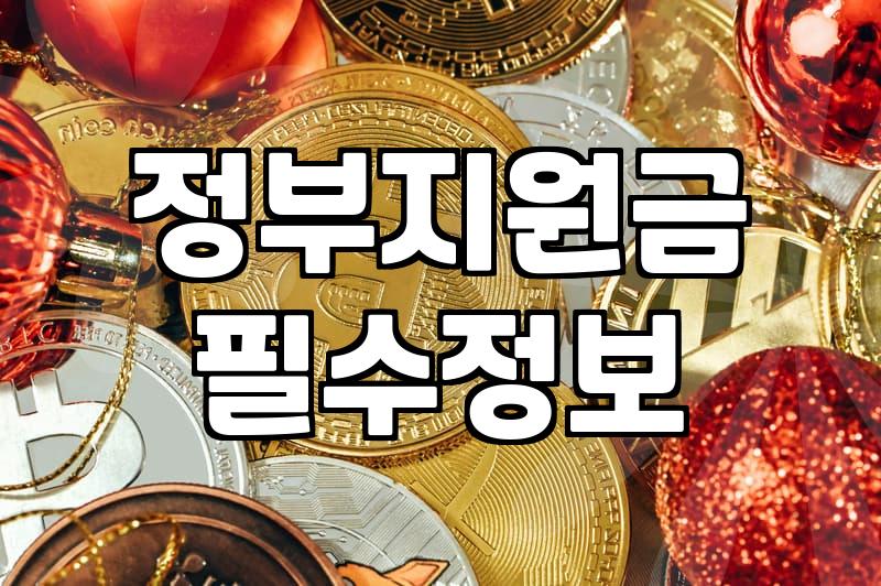 정부 보조금, ‘언젠가’ 받겠지 했다가 놓친 경험담