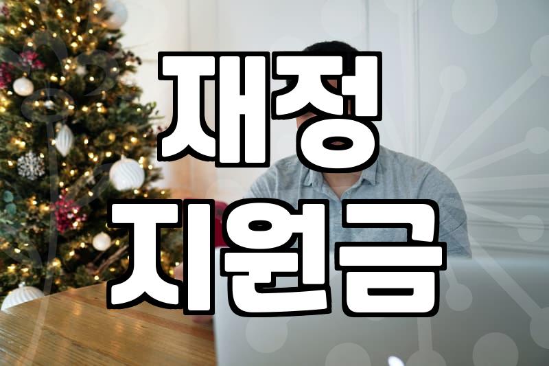 정부정책 재정 지원금 신청 조건과 연도별 예산 배분 구조
