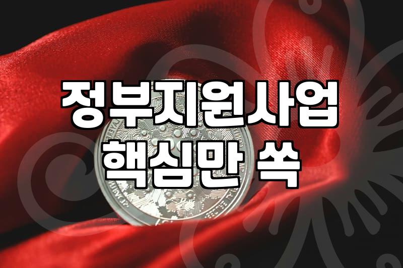 정책자금컨설팅 진행 시 비용과 성공률을 결정하는 핵심 요소