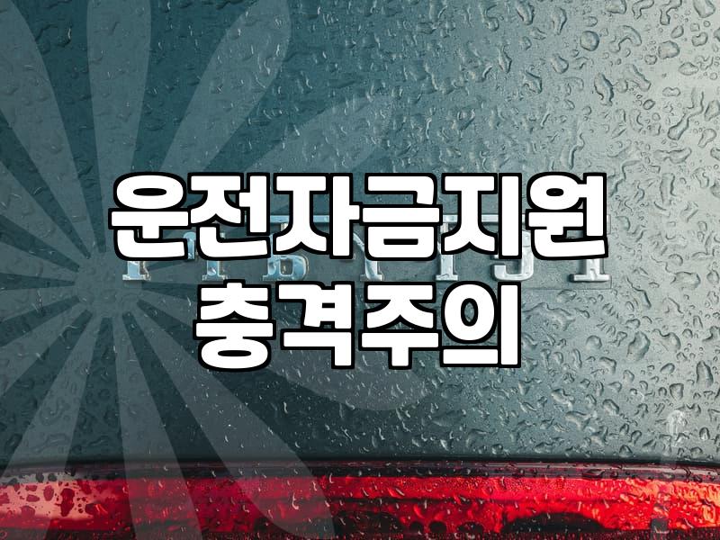 정부지원으로 단기투자를 노린다면 현실적인 접근법은 무엇인가