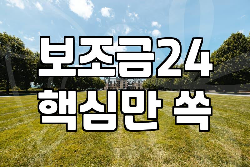 정부 보조금 정보 확인하고 놓치지 않는 법