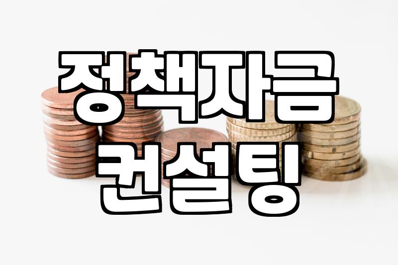 정책자금 컨설팅, 정말 필요할까? 30대 직장인이 본 현실적인 시각