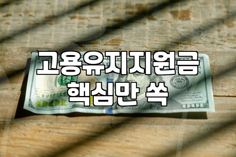 고용노동부지원금, 놓치기 쉬운 자격 요건과 신청 팁