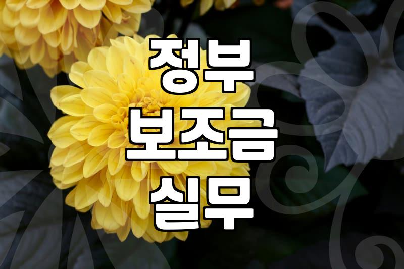 보조금, 엑셀 시트 뒤의 현실과 ‘공짜 점심’의 함정