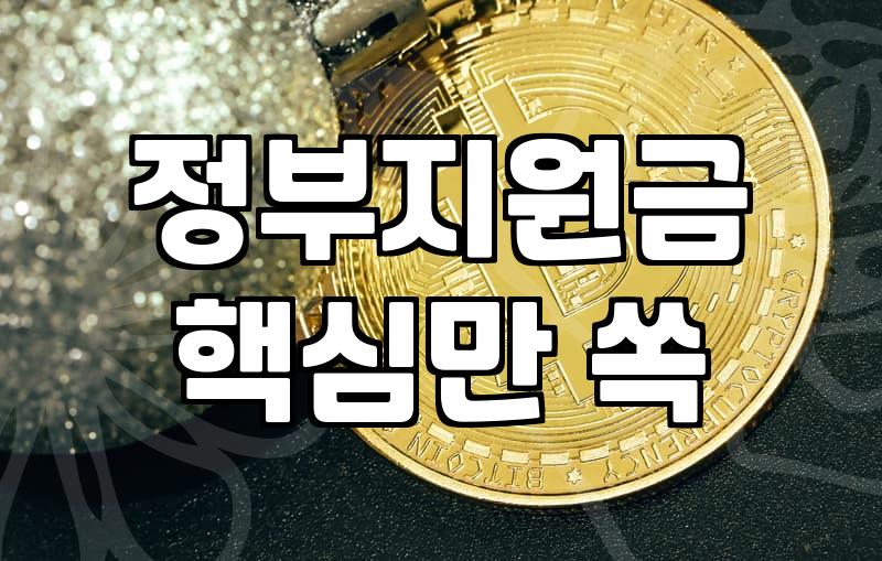 정부정책 확인하는 방법과 실질적인 자격 요건