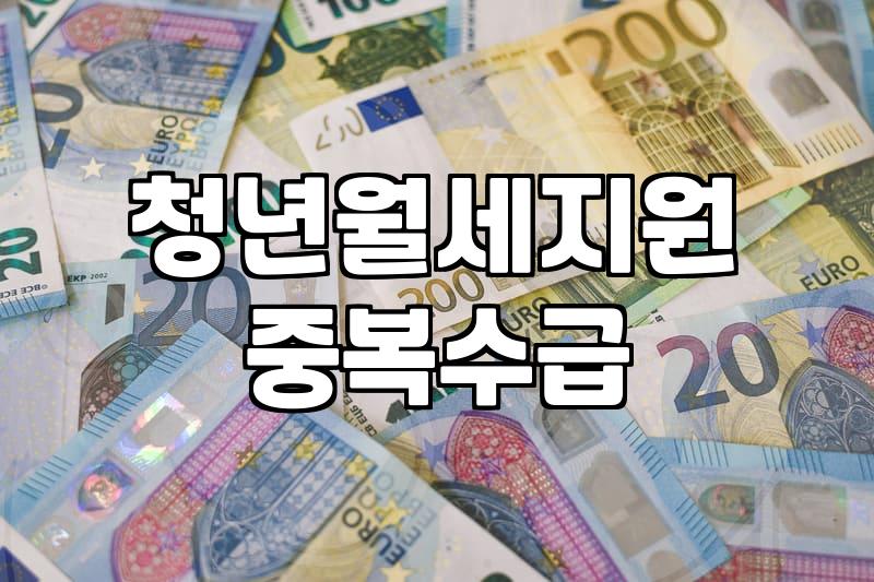 청년 월세 지원 사업 신청 전 꼭 따져봐야 할 중복 수혜 조건