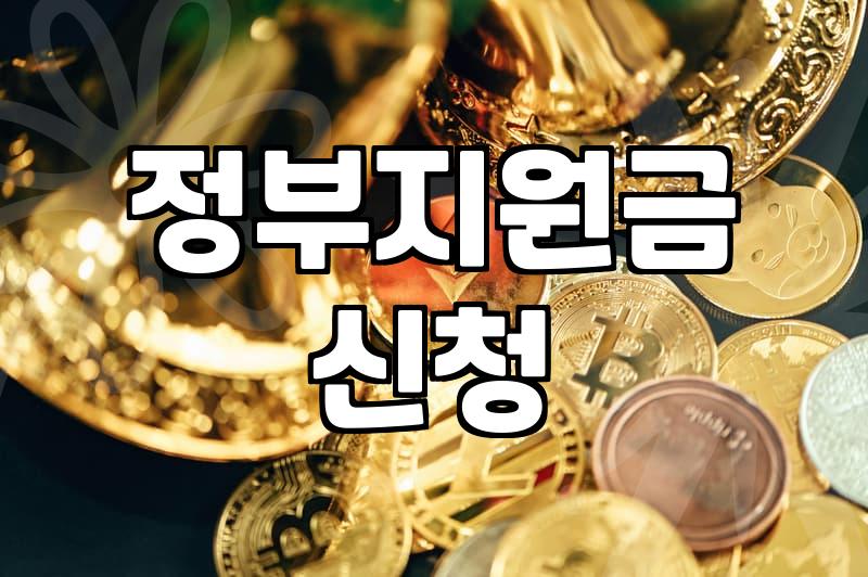 정부 지원금, 묻지도 따지지도 말고 신청부터 해보세요. (현실적인 조언)