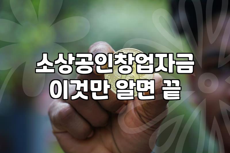 창업대출조건, 정부지원금이라는 환상과 현실의 간극