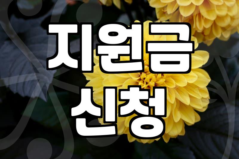 정부정책 활용을 위해 반드시 확인해야 할 예산 집행 구조