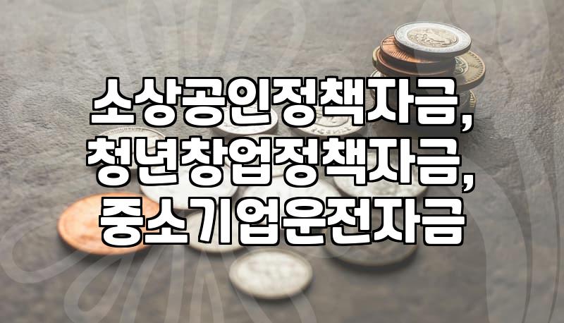 정책자금, ‘될까?’ 고민될 때: 현실적인 조언