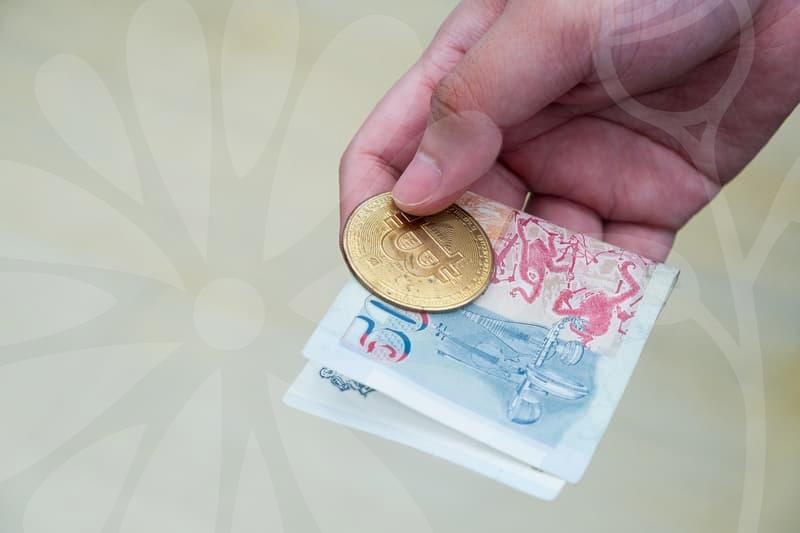 보조금의 핵심 이해와 신청 전략과 활용 사례의 실무 적용