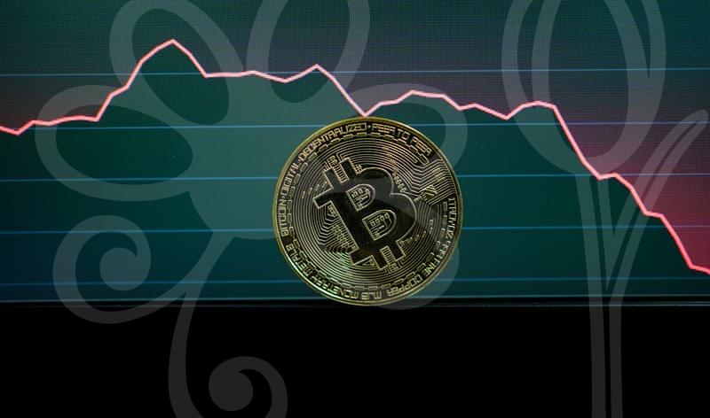 보조금의 최신 트렌드와 신청 전략, 놓치지 말아야 할 포인트