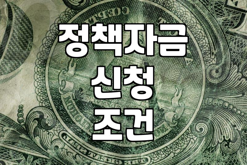 법인 사업 운영 중 정부 정책자금과 대출을 고려할 때 알아야 할 현실적인 부분들