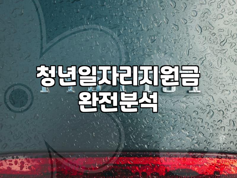 청년 고용 촉진 지원금: ‘묻지마 신청’은 금물, 현실적인 접근법