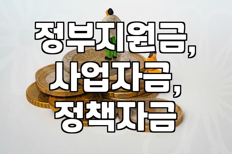 정부 보조금, ‘묻지마 신청’은 금물: 경험자가 말하는 현실적인 고려사항