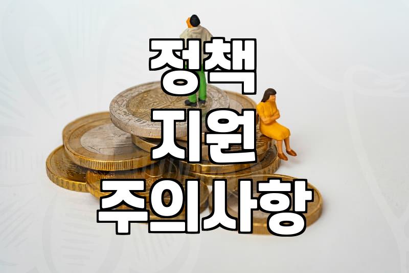 정부 정책 지원을 알아볼 때 놓치기 쉬운 현실적인 부분들
