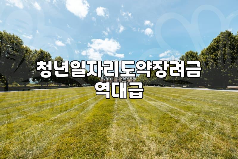 청년정부지원금 신청 자격과 유형별 핵심 요건